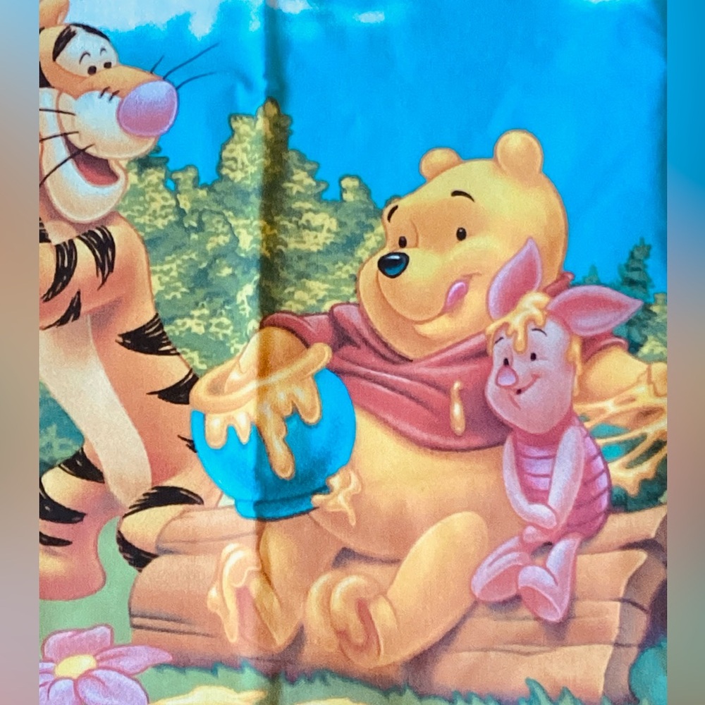 🍯 Winnie the Pooh & PIGLET TOO PILLOWCASE Disney